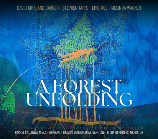Rachel Calloway David Kirkland Garner Melinda Wagner Stephen Jaffe Forest Unfolding CD