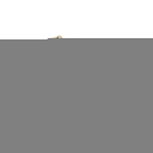 Pom Pom Futter Velcro Gold Glitter 23
