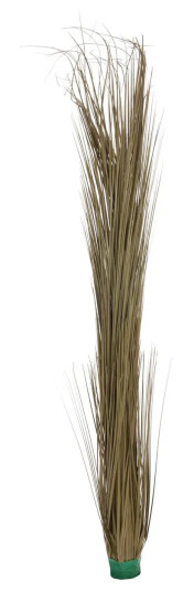 Europalms Reed Grass, Khaki, 127cm Europalms Reed Grass, Khaki, 127cm
