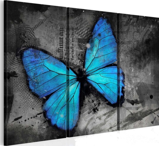 Bilde The Study Of Butterfly Triptych 120x80 Artgeist sp. z o. o.