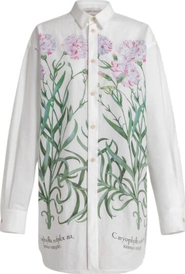 Alberta Ferretti Dame Bluser & Skjorter Flerfarget M,