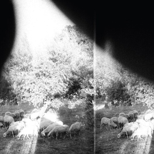 Godspeed You Black Emperor!  Asunder, Sweet And Other Distress  LP/Vinyl
