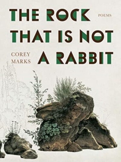 The Rock That is Not a Rabbit Poems The Rock That is Not a Rabbit Poems