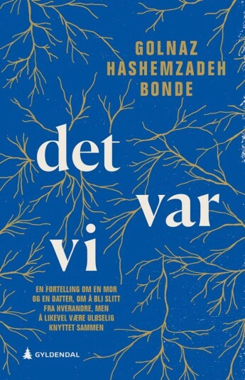 Det Var Vi Av Golnaz Hashemzadeh Bonde