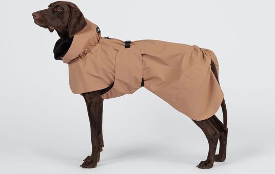 PAIKKA Visibility Regnjakke til Hund Brun 218445