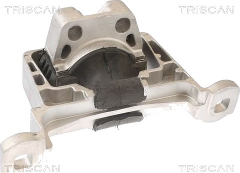 TRISCAN 8505 10105 Motorfeste