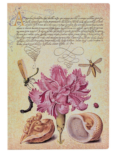 Notatbok Paperblanks Pink Carnation midi ulin Notatbok Paperblanks Pink Carnation midi ulin
