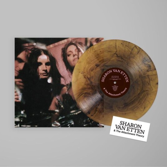Sharon Van Etten Sharon Van Etten & The Attachment Theory LP/Vinyl Sharon Van Etten Sharon Van Etten & The Attachment Theory LP/Vinyl