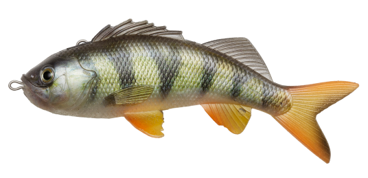 PulzBait Starter Kit Perch 15cm Perch PulzBait Starter Kit Perch 15cm Perch