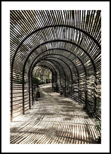 Shadow Garden Poster Plakat / 50x70cm