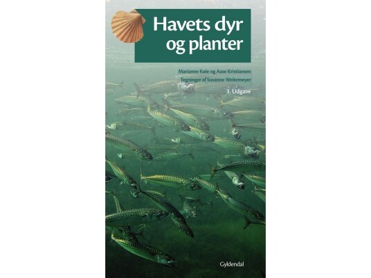 Havets Dyr Og Planter | Marianne Køie Aase Kristiansen | Språk: Dansk
