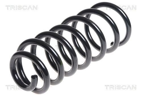 Fjær TRISCAN 8750 2797 Fjær TRISCAN 8750 2797