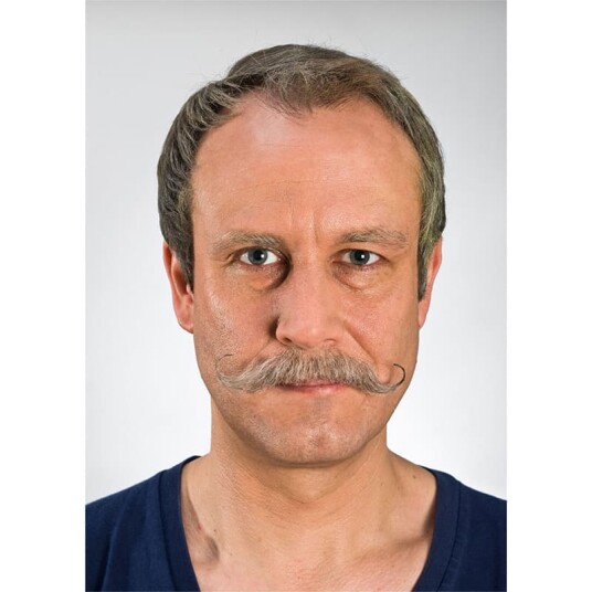Kryolan Bart #7 Grey
