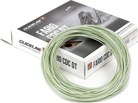 Guideline Fario Cdc Dt