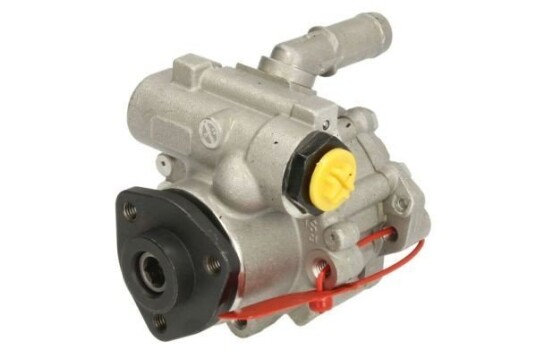Servopumpe LAUBER 55.1011