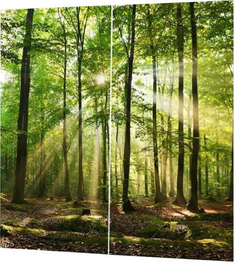 Skog Sollys Trykk Skyggeleggende Gardiner for Balkong Soverom Stue Vindu 170 * 200cm