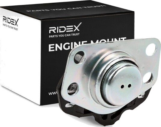 RIDEX 247E0179 Motorfeste