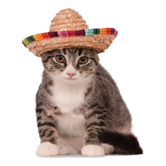 Catsson Int Group LTD Sombrero for Husdyr