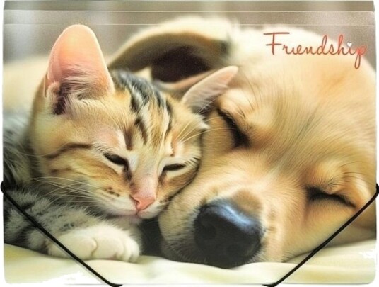 Pantaplast Panta Plast A4 Pp Mappe Med Strikk Og Trykk Friendship