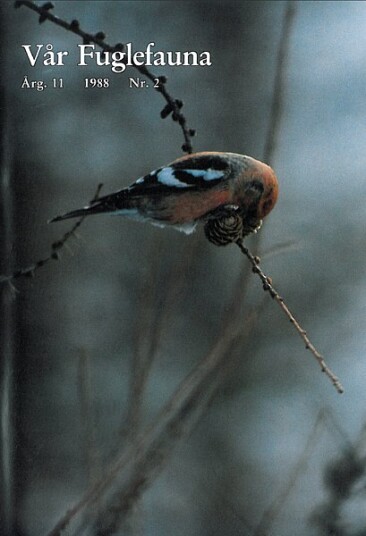Norsk Ornitologisk Forening Vår Fuglefauna   1988 2 årgang 11