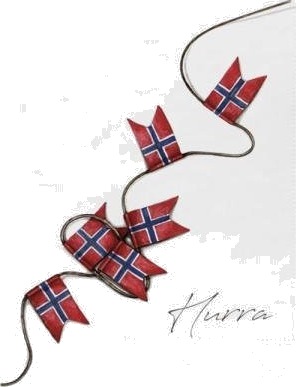 Sögne Home - Serviett flagg hurra 33x33 cm
