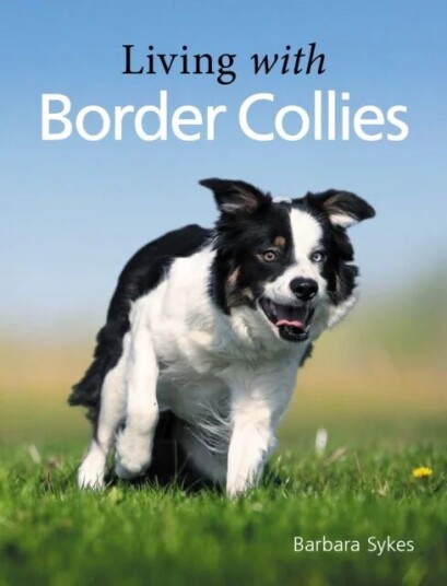 Living With Border Collies Av Barbara Sykes Living With Border Collies Av Barbara Sykes