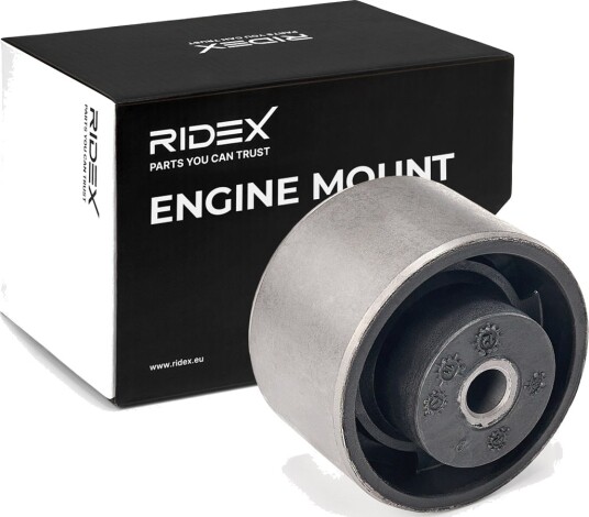 RIDEX 247E0142 Motorfeste
