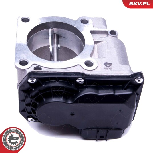 ESEN SKV 12SKV091 Gasspjeld