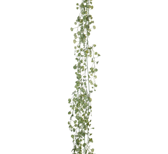 Mr. Plant Silverfall 150 cm