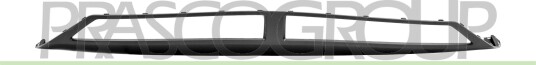 Pynte / vernelist støtfanger PRASCO HN1521245