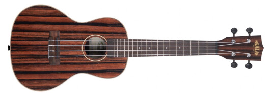 Kala Ka-Eby-C Ebony Concert Ukulele Med Bag (Ub-C)