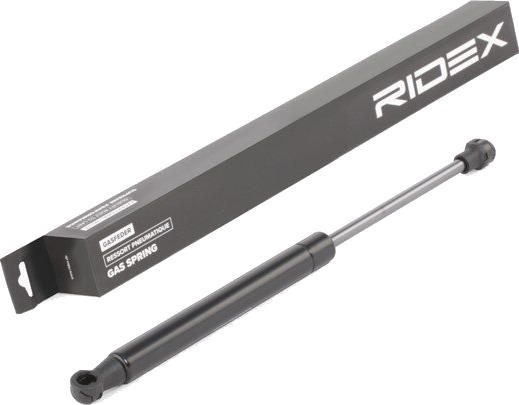 RIDEX 219G0744 Baklukedemper