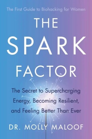 The Spark Factor Av Dr. Molly Maloof