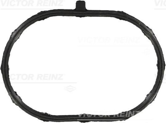Tetning innsugningsmanifold REINZ 71 53752 00