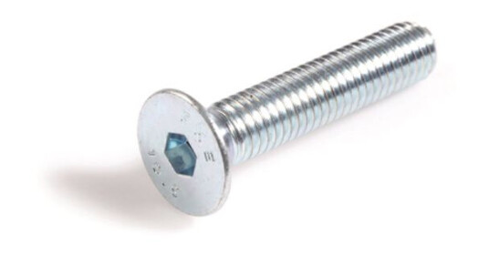 Schäfer & Peters 106424460 Insex skrue M4 x 60 mm 100-pakk MF6S A4 ISO 10642 M4 x 60 mm 100-pakk Innfesting