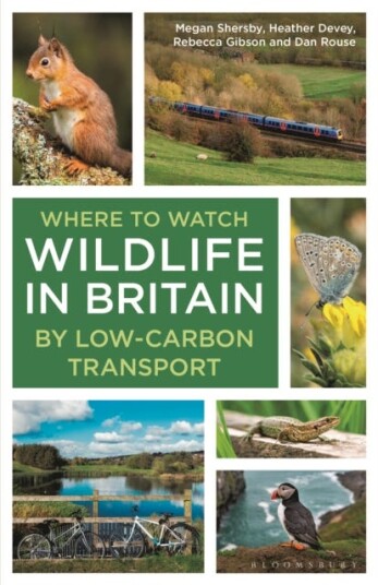 Where to Watch Wildlife in Britain By Lowcarbon Transport