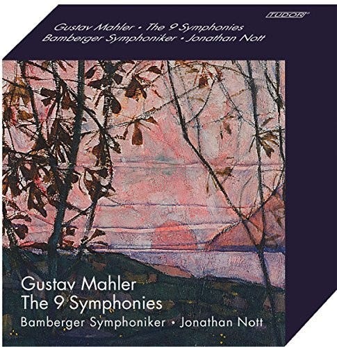 Symphoniker Braun  Mahler: 9 Symphonies  CD