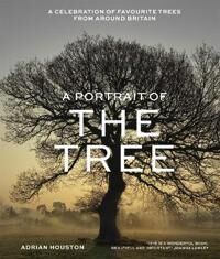 A Portrait Of The Tree Av Adrian Houston