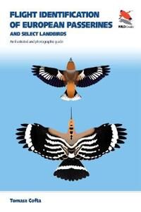 Flight Identification Of European Passerines And Select Landbirds Av Tomasz Cofta Flight Identification Of European Passerines And Select Landbirds Av Tomasz Cofta