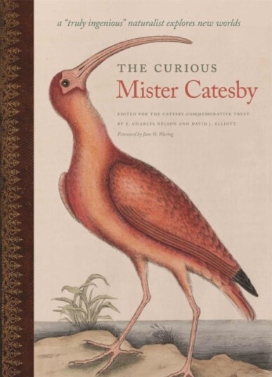 The Curious Mister Catesby The Curious Mister Catesby