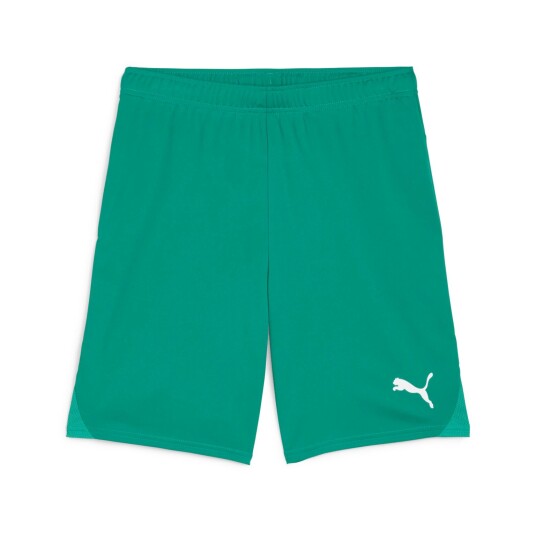 Puma teamGOAL Shorts, fotballshorts, herre Sport Green-White