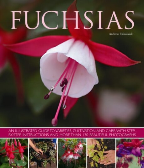 Fuchsias  an Illustrated Guide to Varieties, Cultivation and Care, with Stepbystep Instructions a
