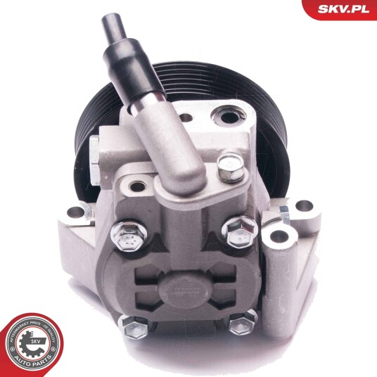 Servopumpe ESEN SKV 10SKV215