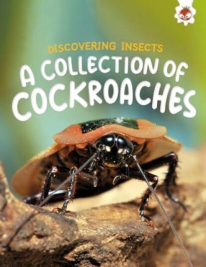 Discovering Insects: A Collection of Cockroaches Discovering Insects: A Collection of Cockroaches