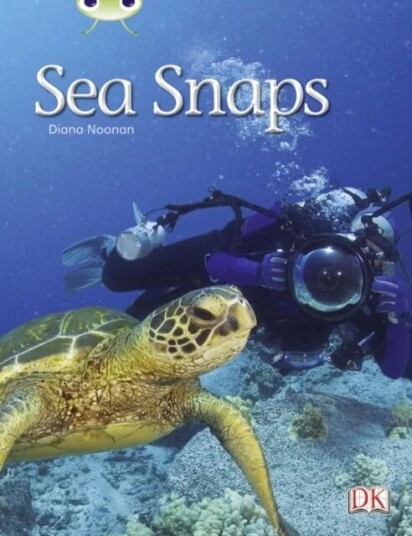 Bug Club Independent Non Fiction Year 1 Green A Sea Snaps Av Diana Noonan