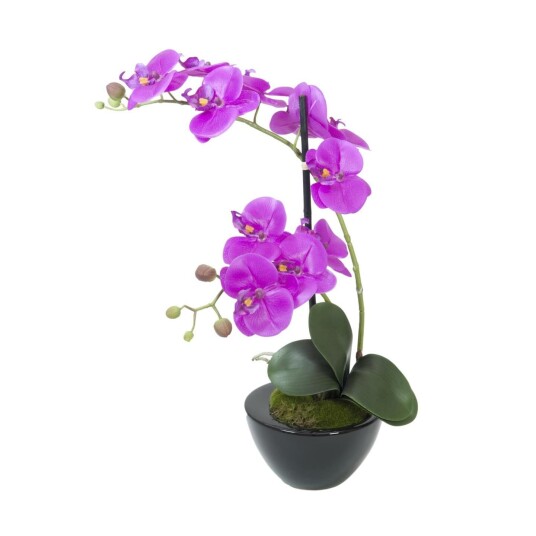 Europalms Orchid Arrangement 4