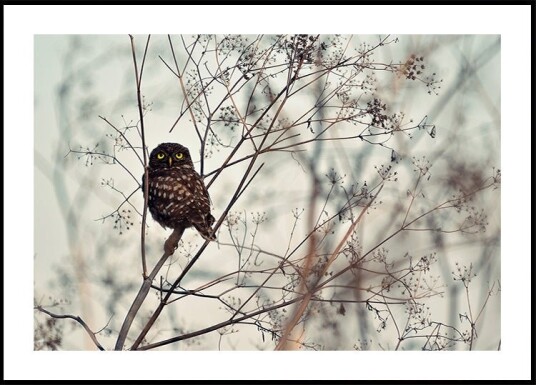 Look at Me! Poster Plakat / 21x30cm Look at Me! Poster Plakat / 21x30cm
