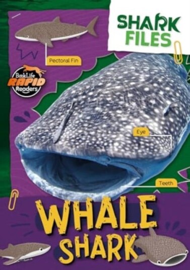 Whale Shark Whale Shark