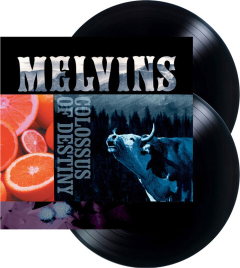 Colossus Of Destiny