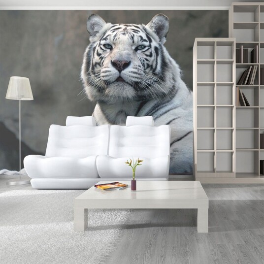 Fototapet Bengali Tiger Zoo 450x270 - Artgeist sp. z o. o.